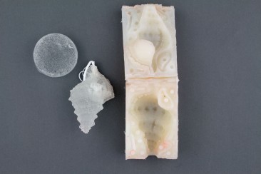 Resin sample,User guide (resin shell speaker) and 2nd Silicone mold
